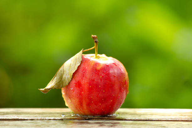 istock Organic summer apples and green grass 853188476