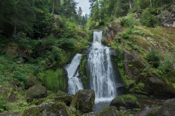 a cachoeira da aldeia de triverg, na alemanha - black forest waterfall triberg landscape - fotografias e filmes do acervo