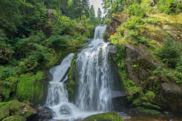 독일에 있는 triverg의 마을에 폭포 - black forest waterfall triberg landscape 뉴스 사진 이미지