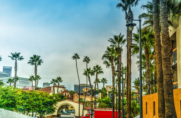 istock Palm trees in Los Angeles Union station 853225510