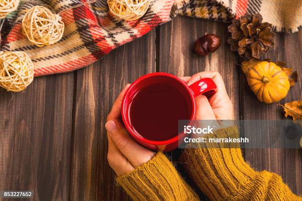 Manos De Mujer De Ajuste De Caída Con Té Caliente De La Taza Con Manta Caída Vintage Sobre Fondo De Madera Y Calabaza Deco Flatlay Otoño Acogedor Establecimiento Foto de stock y más banco de imágenes de Alimento