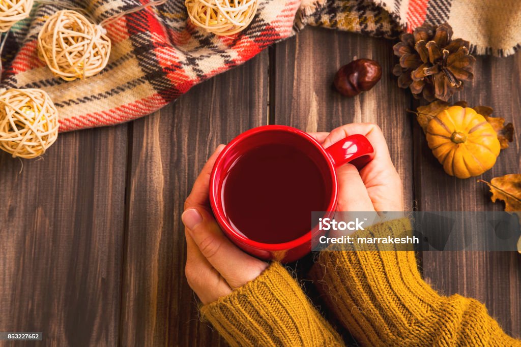 Fall setting woman hands holding hot tea cup with vintage fall blanket on wooden background and pumpkin deco,cosy autumn flatlay setting Food Stock Photo