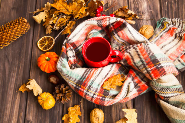 istock Flatlay of cozy fall setting. Scarf with tea cup and autumn decorations with pumpkins, dried leaves, pine cones on wooden background 853227720