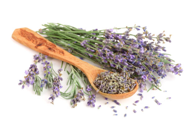 istock Bunch of lavender with spoon isolated on a white background 853238440