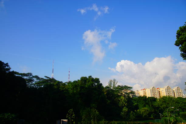 istock City in a garden 853242652