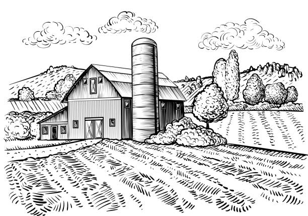 ilustraciones, imágenes clip art, dibujos animados e iconos de stock de paisaje rural, croquis de granero y molino de granja - casa rural