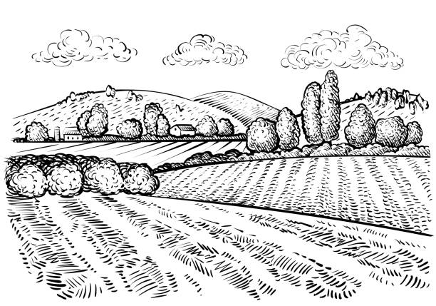 Rural landscape, handdrawn inked sketch style illustration vector art illustration