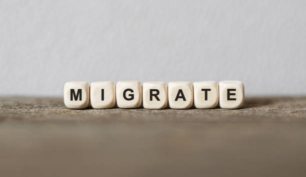 istock Word MIGRATE made with wood building blocks 853254384
