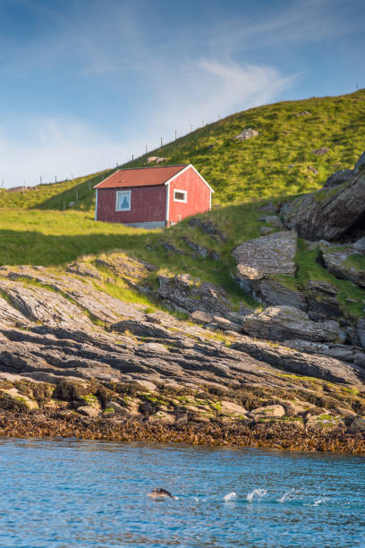 istock Panorama view Norway, Rost island  Atlantic lofoten island norway 853257802