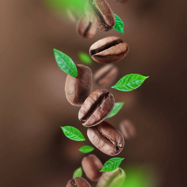istock Coffee beans and leaves falling from the air 853257950