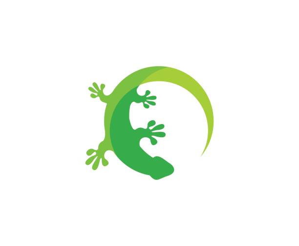 lizard-symbol - lizard stock-grafiken, -clipart, -cartoons und -symbole