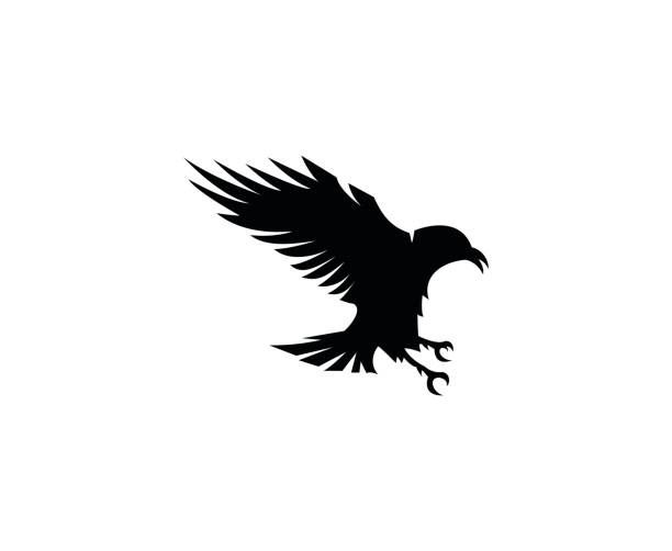 Raven icon This illustration/vector you can use for any purpose related to your business. raven bird stock illustrations