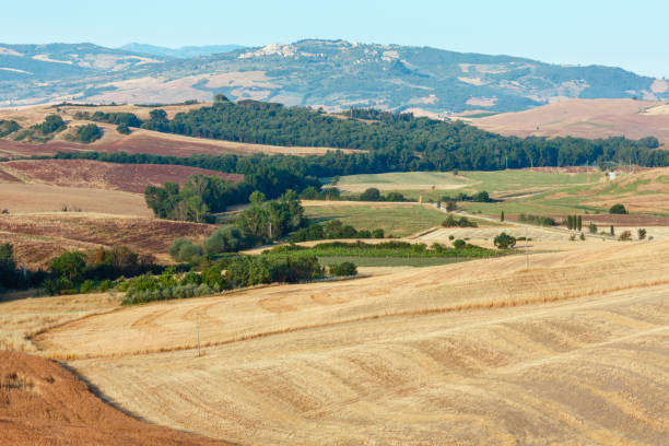 istock Morning countryside, Italy 853278516