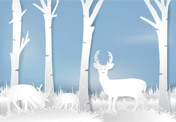 istock Deer standing in meadow. Nature landscape background  paper art style illustration. 853281684