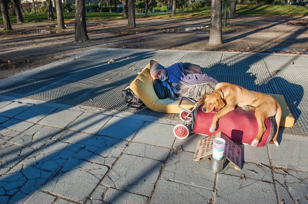 寝室たこのホームレスの男性は、 - dog street loneliness solitude ストックフォトと画像