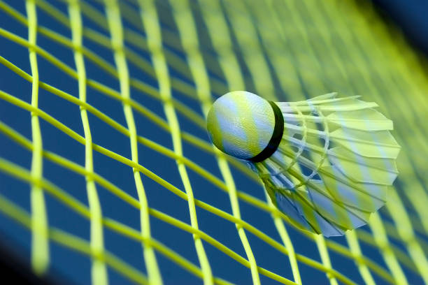 istock Badminton fantasy all over 853285506