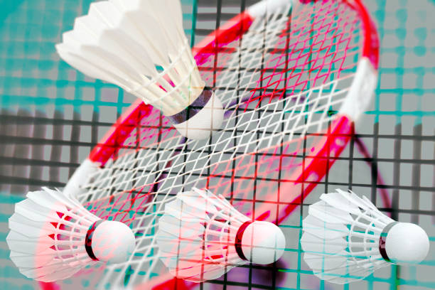istock Badminton fantasy all over 853287770