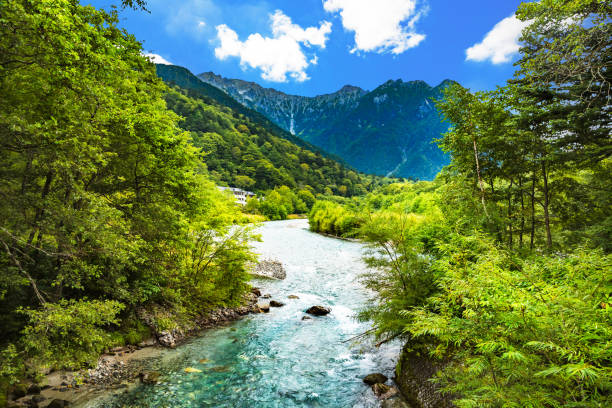 istock Trees in the mountains and stream of the river 853288272