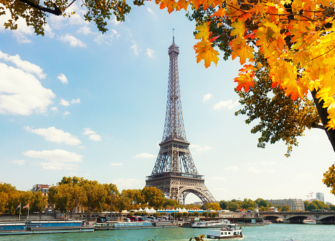 eiffel tour over Seine river with fall tree, Paris, France