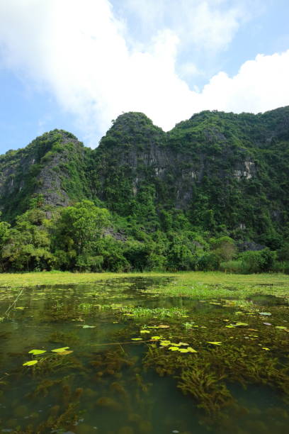 istock Tam coc in Ninh Binh, Vietnam 853307496