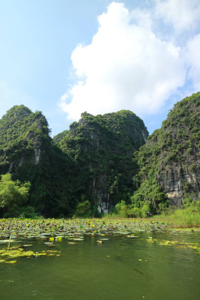 istock Tam coc in Ninh Binh, Vietnam 853307650