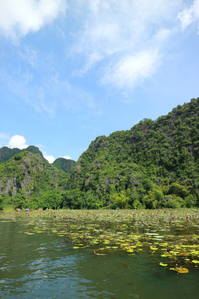 istock Tam coc in Ninh Binh, Vietnam 853307658
