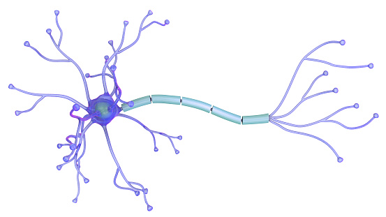 computer generated illustration of a neuron in 3D