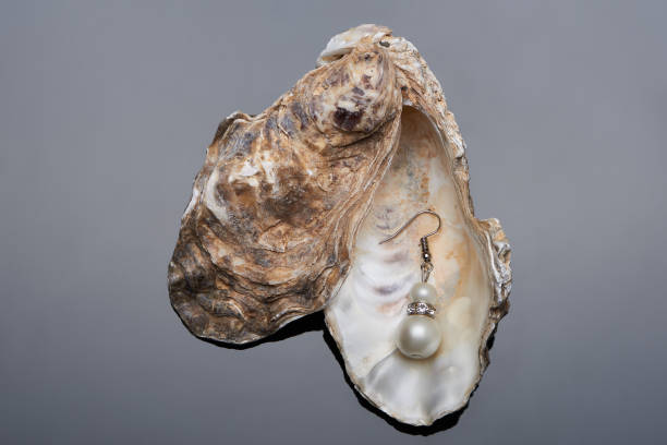 istock Jewelry pearl earring 853336410