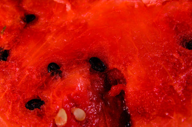 istock Background of the fresh ripe watermelon 853337670