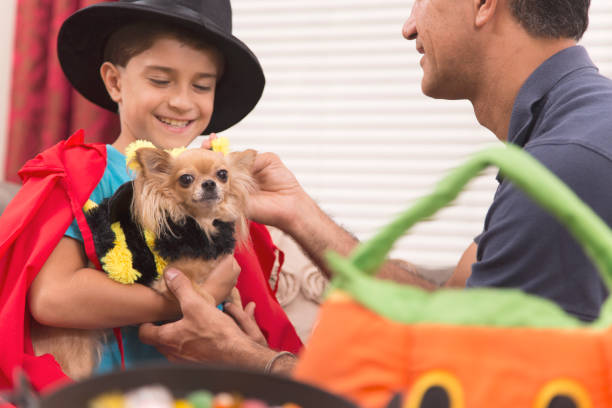 istock Little boy dresses up for Halloween with dad's help. 853354868