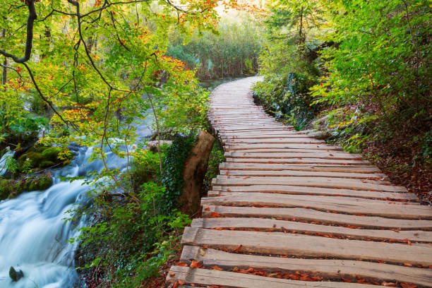 istock Wood path in the Plitvice lake national park 853385718
