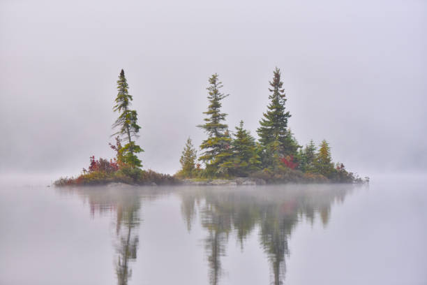 istock Autumn in Algonquin Park, Ontario, Canada 853389944