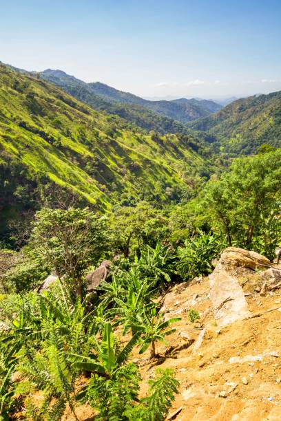 istock Ravana mountains near Ella in Sir Lanka 853394488