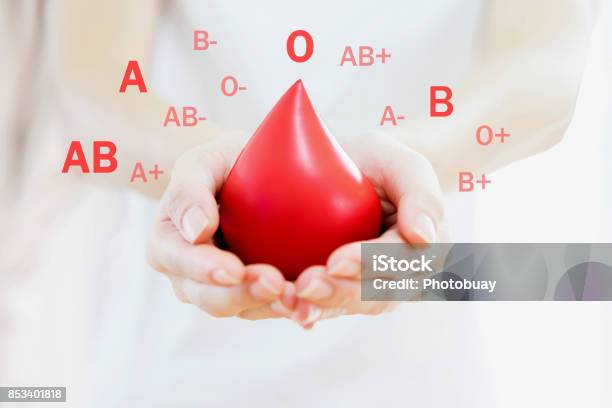 Hands Holding A Red Blood Stock Photo - Download Image Now - Blood, Adult, Adults Only