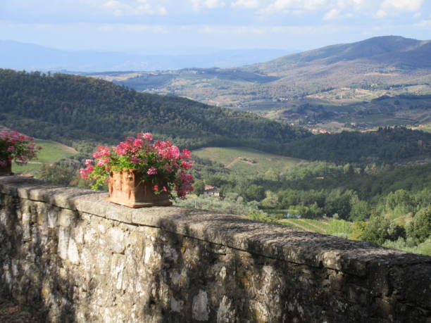 istock View over the Chianti Hilly Landscape 853418108