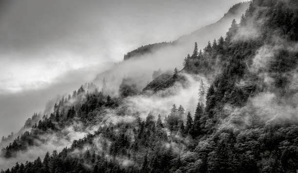 istock Fog on top of a mountains in black and white 853434376