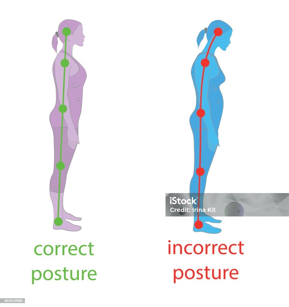 Correct Alignment Of Human Body In Standing Posture For Good ... Biology Diagrams