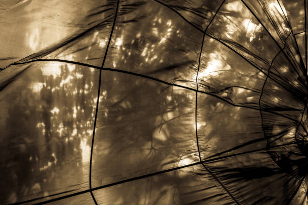 istock Looking up towards a parachute hung from the branches of a tree 853446674