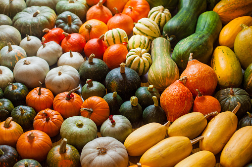 decorative pumpkins in kitchen