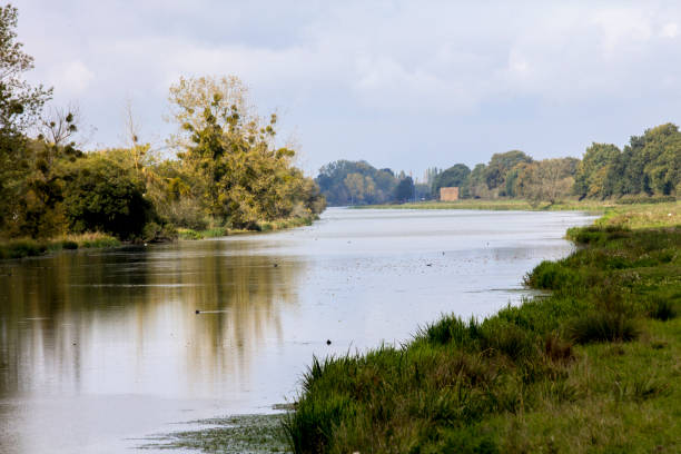 istock Banks of the Loire 853455258
