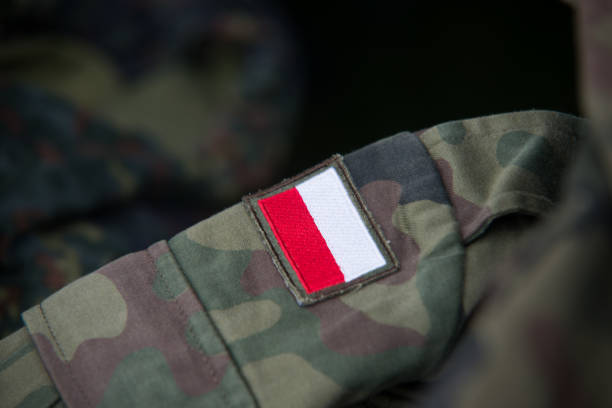 istock Close up on Polish flag on military uniform 853456192