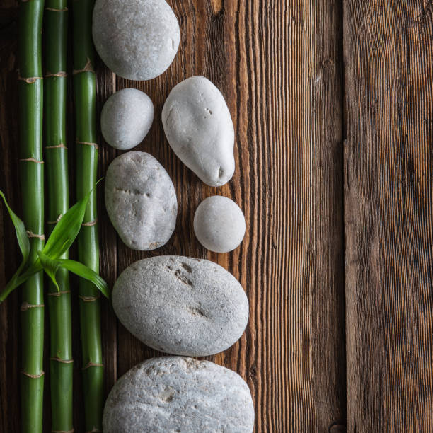 istock zen balance stones and bamboo plant 853457516