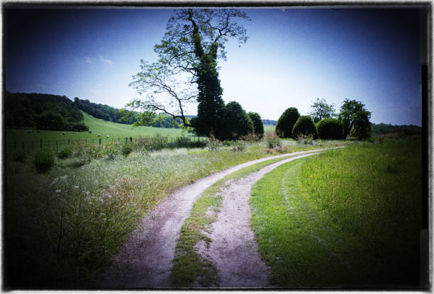istock filtered film scan 853457936