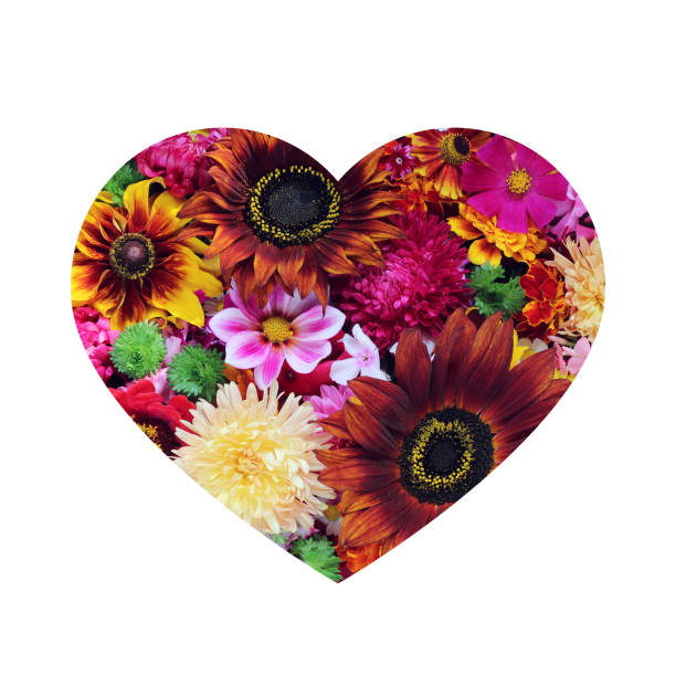 istock Design greeting cards in heart shape, isolated on white background. 853461836