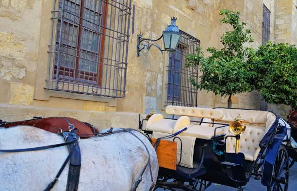 Photo of Spain, Chariot ride across historic part of town