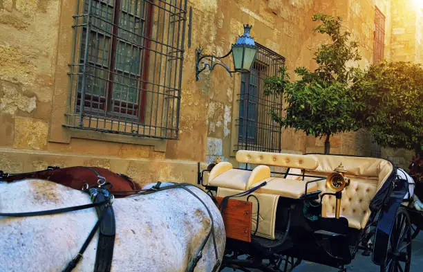 Photo of Spain, Chariot ride across historic part of town