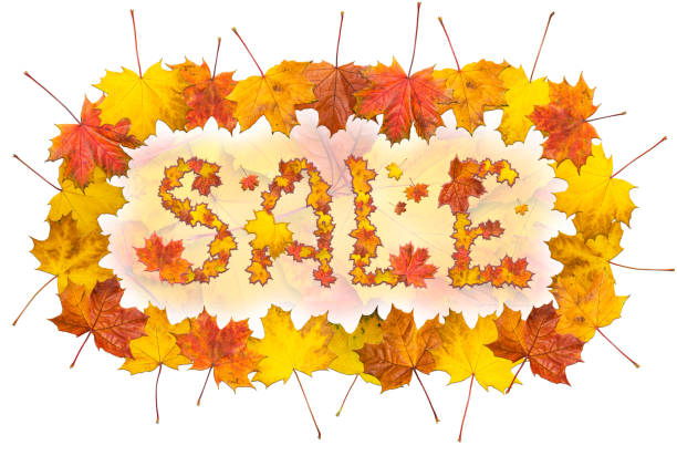 Word Sale with frame made of bright maple leaves on white background for signboard or advertisement.