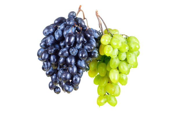istock Blue and green grape with water drops isolated white 853475538