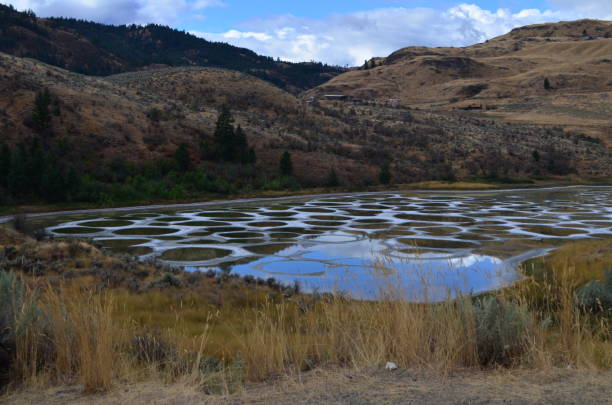 lago maculato bc - lake osoyoos foto e immagini stock