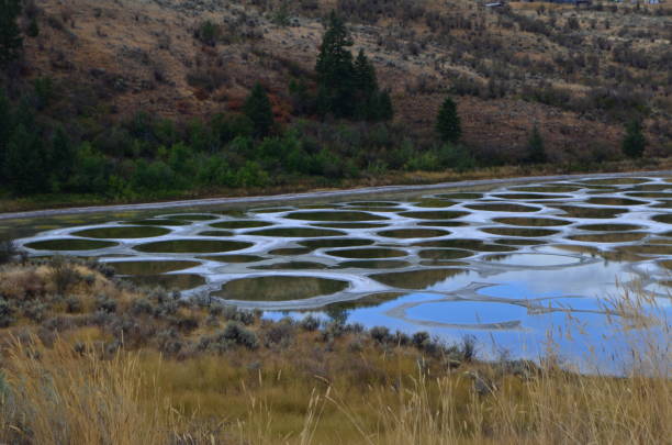 lago maculato osoyoos - lake osoyoos foto e immagini stock